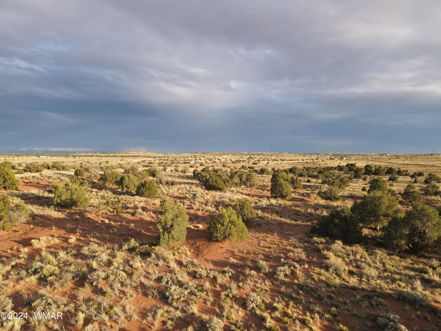 view of local wilderness