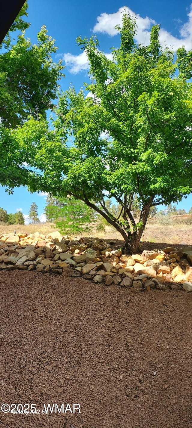 4520 Tatanka Loop Unit A4, Show Low, AZ 85901 - photo 23
