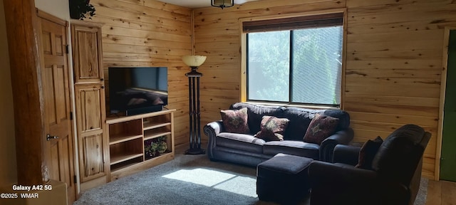 4520 Tatanka Loop Unit A4, Show Low, AZ 85901 - photo 29