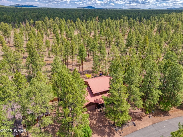 6985 Moon Creek Cir, Pinetop, AZ 85935 - photo 9