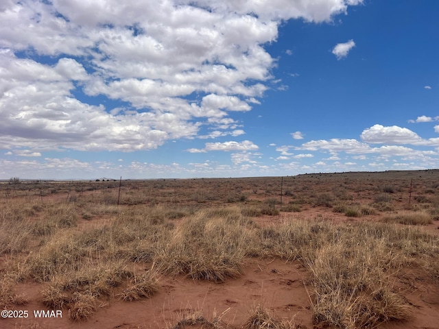 8357 Terry Trl, Snowflake, AZ 85937 - photo 2