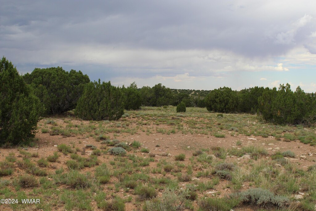 5143 Rockwell Rd, Heber, AZ 85928 - photo 3