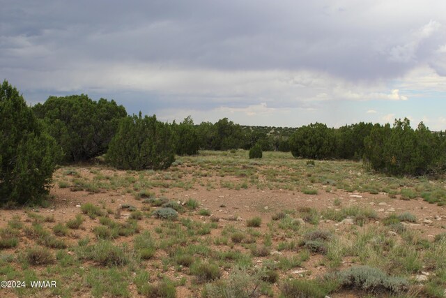 5143 Rockwell Rd, Heber, AZ 85928 - photo 3