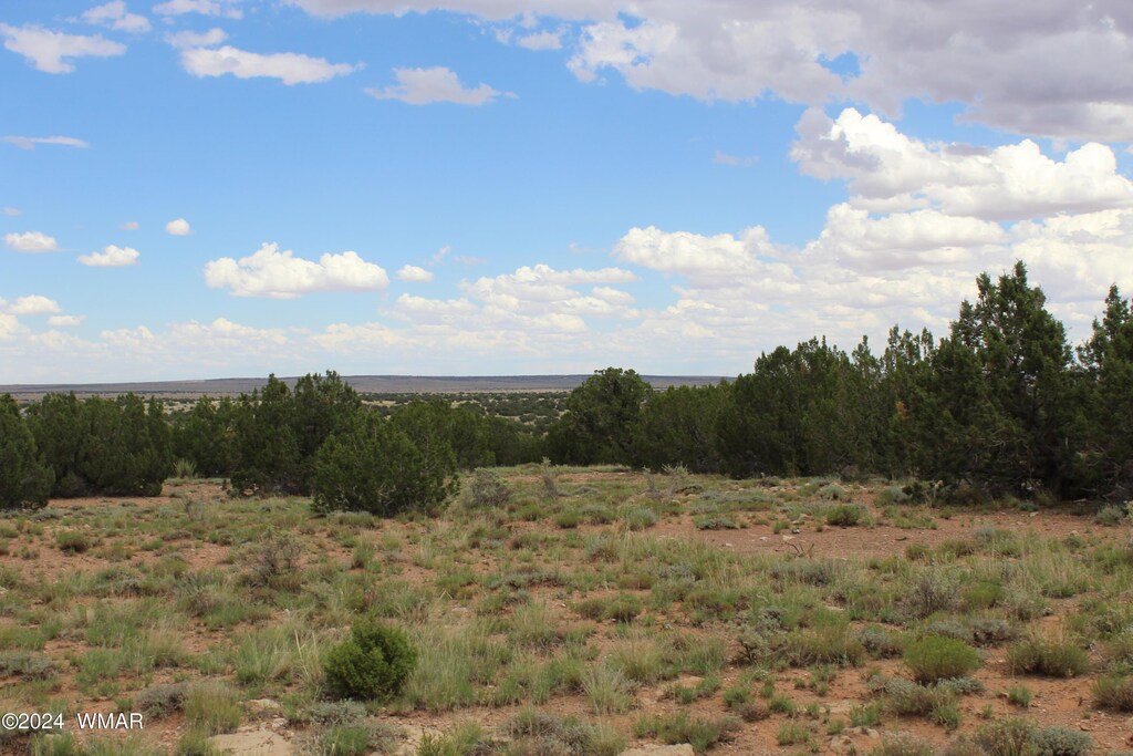 5143 Rockwell Rd, Heber, AZ 85928 - photo 2