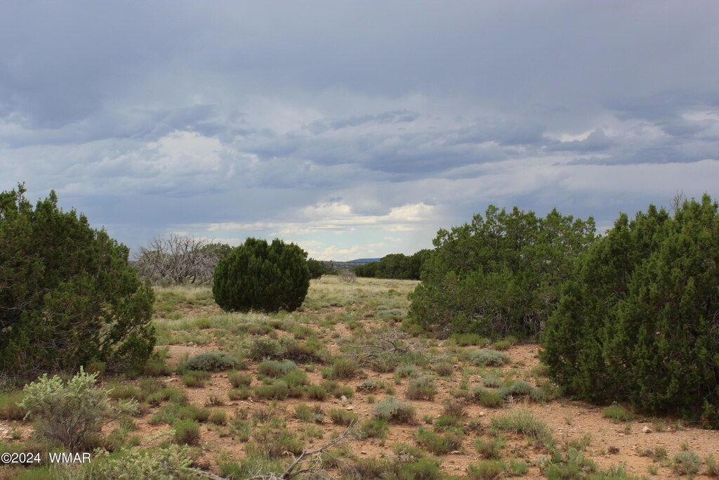 5143 Rockwell Rd, Heber, AZ 85928 - photo 1