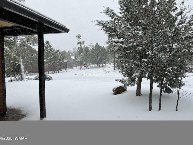 view of snowy yard