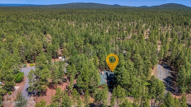 7470 Sunset Cir, Pinetop, AZ 85935 - photo 38