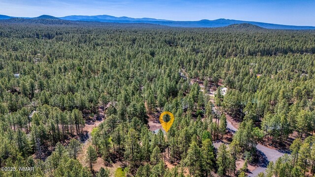 7470 Sunset Cir, Pinetop, AZ 85935 - photo 39