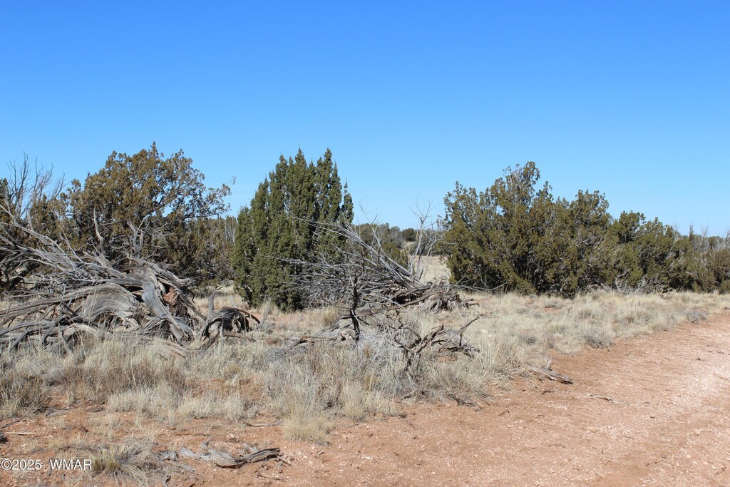 1924 Hutch Rd, Heber, AZ 85928 - photo 4
