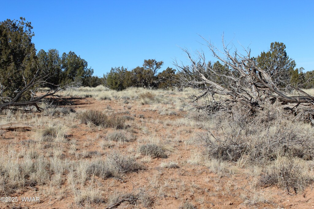 1924 Hutch Rd, Heber, AZ 85928 - photo 3