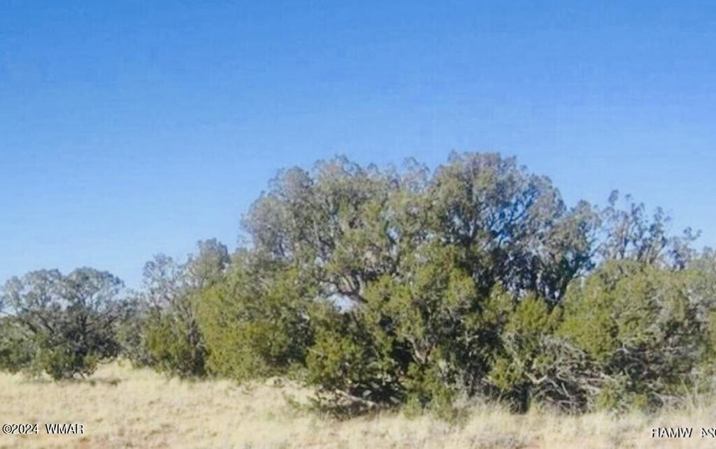 TBD Squaw Tank Vista Dr, Heber, AZ 85928 - photo 1