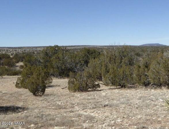 TBD Squaw Tank Vista Dr, Heber, AZ 85928 - photo 3