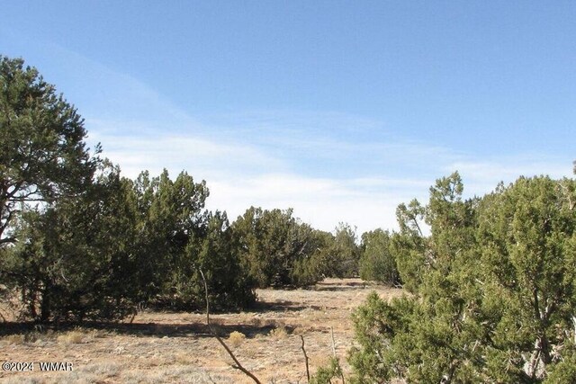 TBD Squaw Tank Vista Dr, Heber, AZ 85928 - photo 2