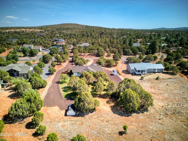 6646 Broken Arrow Way, Show Low, AZ 85901 - bird's eye view of a forest