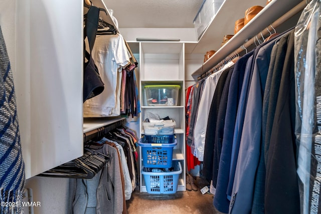 view of spacious closet