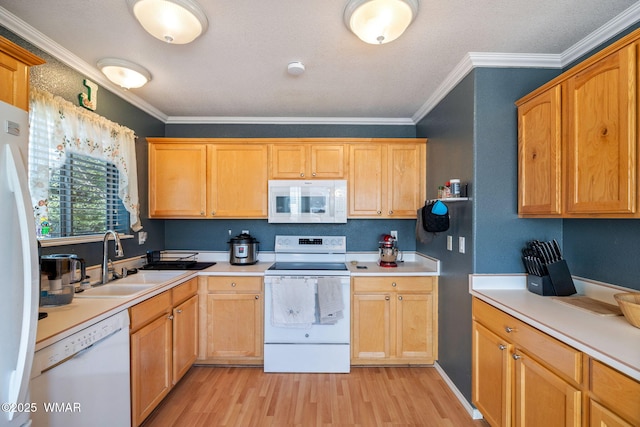 kitchen featuring crown molding, white appliances, light countertops, a sink, and light wood finished floors