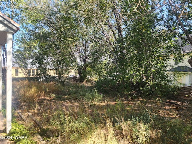 240 S 1st, Saint Johns, AZ 85936 - view of yard