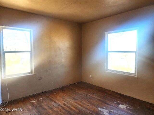 unfurnished room with dark wood-type flooring and plenty of natural light