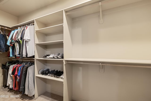 view of spacious closet