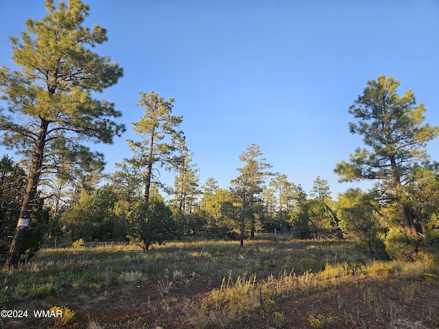 4843 W Bison Trl, Lakeside AZ, 85929 land for sale