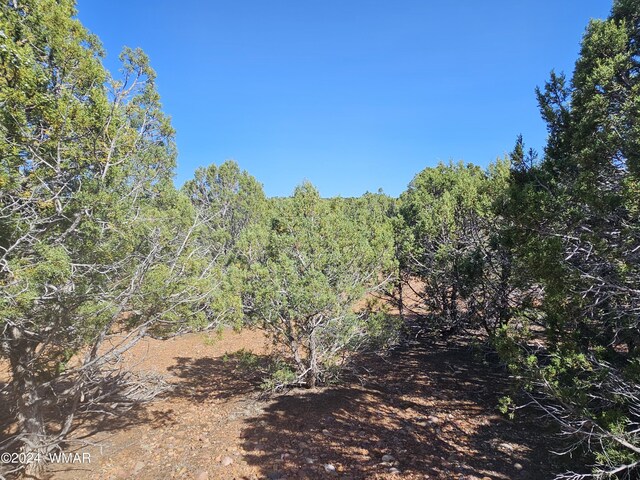 tbd Sunburst, Show Low AZ, 85901 land for sale