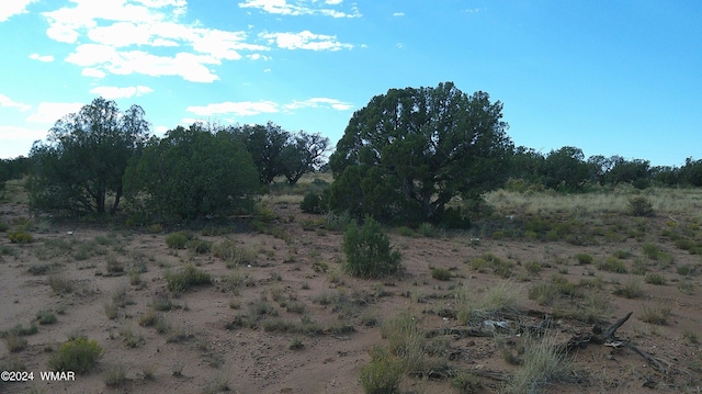 Listing photo 2 for 4389 Indian Bend Rd, Snowflake AZ 85937