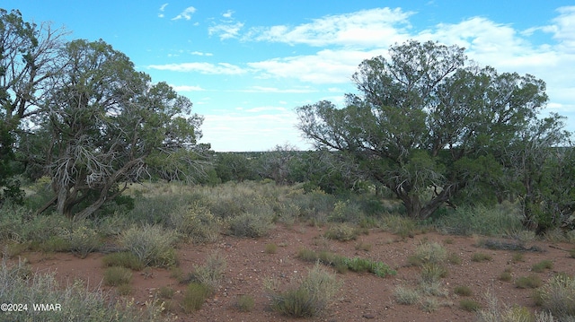 4389 Indian Bend Rd, Snowflake AZ, 85937 land for sale