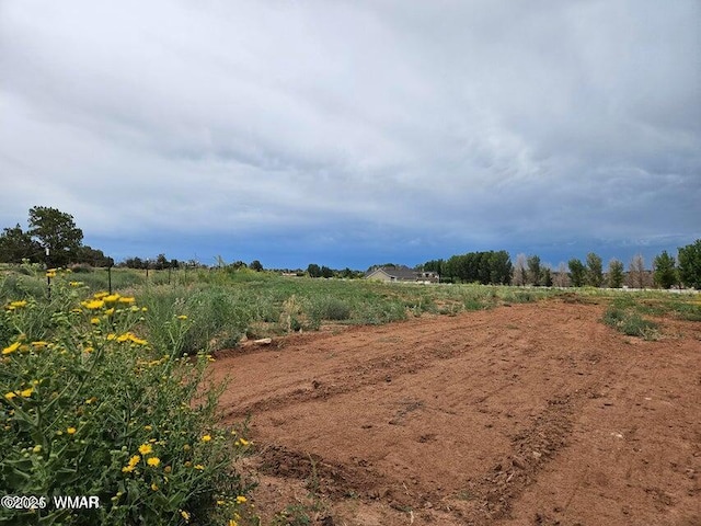 TBD Caldwell Canyon Rd, Snowflake, AZ 85937