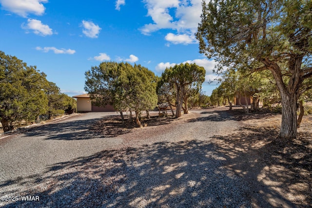 view of street with gravel driveway