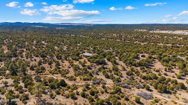 drone / aerial view with a mountain view and a view of trees