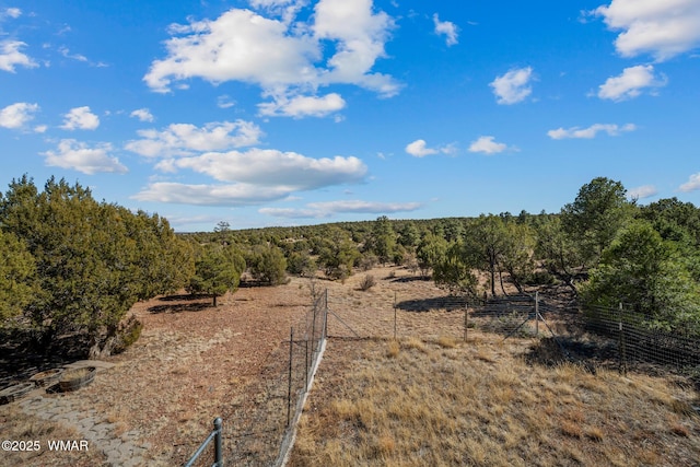 view of local wilderness