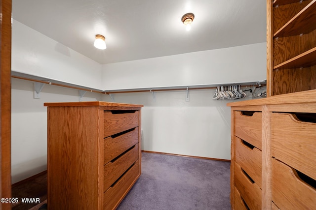 spacious closet featuring carpet floors