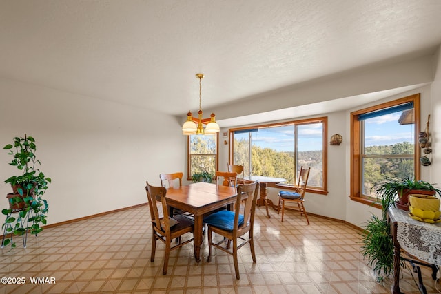 dining room with light floors, baseboards, and a textured ceiling