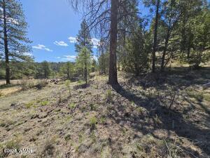 3326 Black Canyon Rd, Heber, AZ 85928 - photo 5