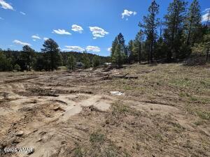 3326 Black Canyon Rd, Heber, AZ 85928 - photo 8