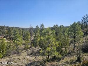3326 Black Canyon Rd, Heber, AZ 85928 - photo 2