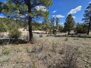 3326 Black Canyon Rd, Heber, AZ 85928 - photo 9