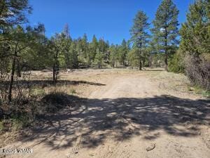 3326 Black Canyon Rd, Heber, AZ 85928 - photo 1