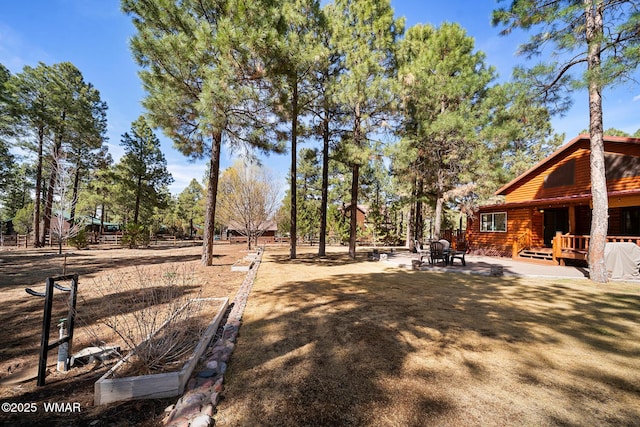 2722 Covered Wagon Trl, Overgaard, AZ 85933 - view of yard