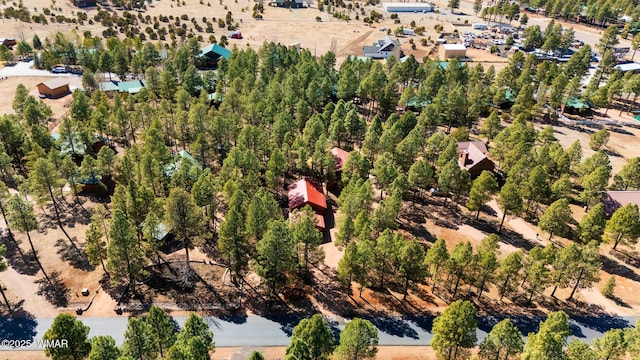 2722 Covered Wagon Trl, Overgaard, AZ 85933 - photo 52