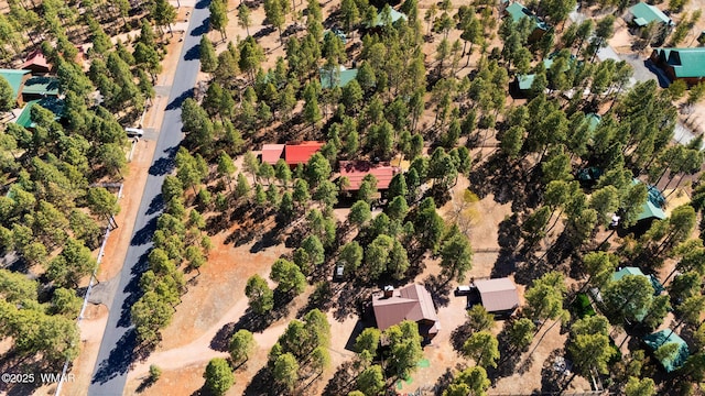 2722 Covered Wagon Trl, Overgaard, AZ 85933 - photo 56