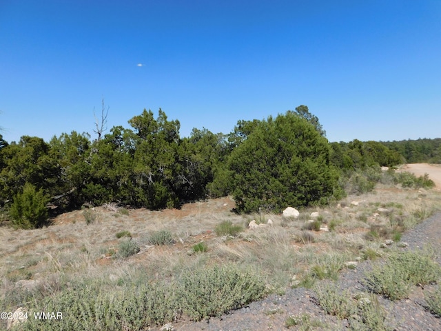 Listing photo 2 for 3337 Apache Dr, Overgaard AZ 85933