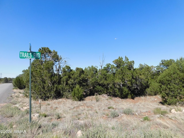 3337 Apache Dr, Overgaard AZ, 85933 land for sale