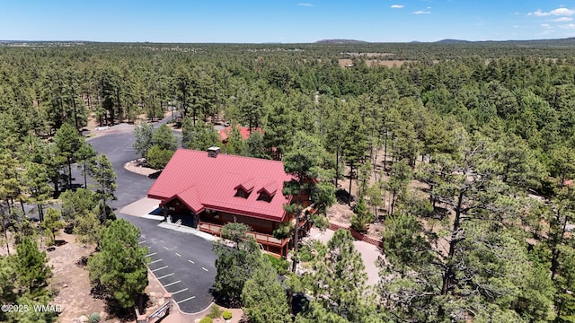 4481 S Elk Trot Loop, Show Low, AZ 85901 - photo 15