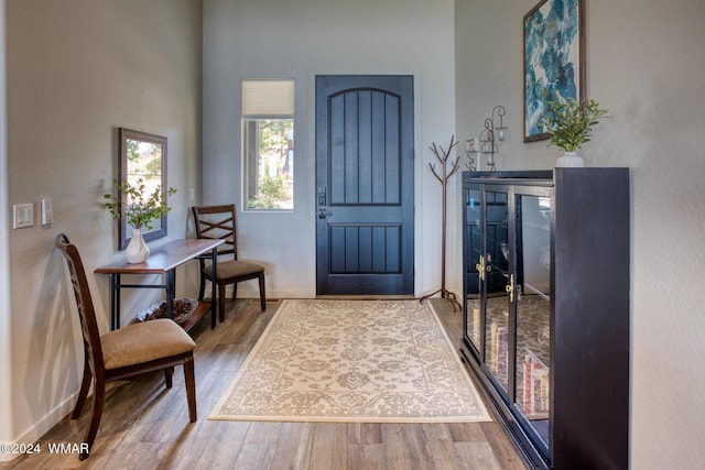 foyer entrance featuring wood finished floors