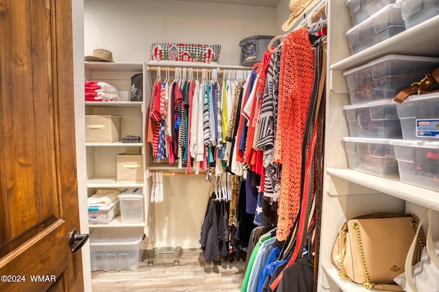 spacious closet featuring wood finished floors