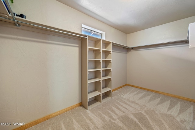 2190 Evergreen Ln, Show Low, AZ 85901 - walk in closet with carpet floors