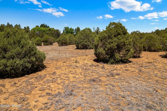 7104 State Route 260, Show Low, AZ 85901 - photo 14