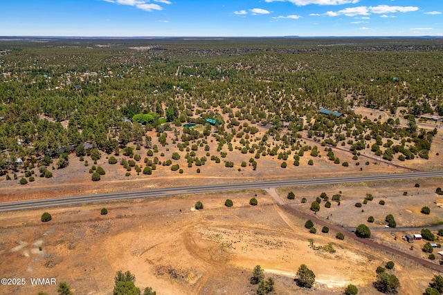 7104 State Route 260, Show Low, AZ 85901 - photo 7