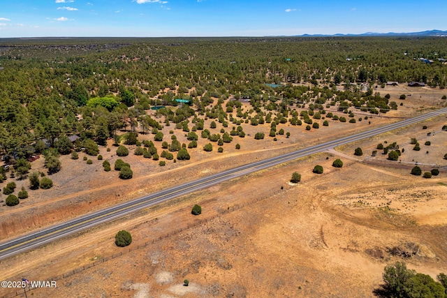 7104 State Route 260, Show Low, AZ 85901 - photo 6